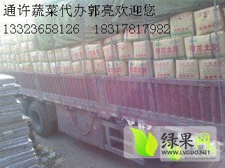 荷蘭十五克新系列土豆 貨源充足，專業(yè)代購代銷服務(wù)